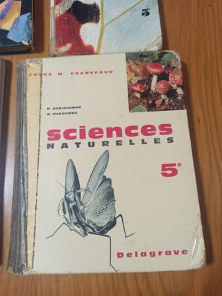 Lote libros de texto franceses 1966