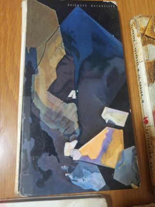 Lote libros de texto franceses 1966