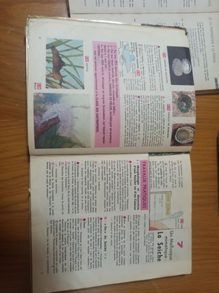 Lote libros de texto franceses 1966