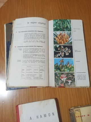 Lote libros de texto franceses 1966