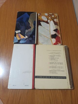 Lote libros de texto franceses 1966