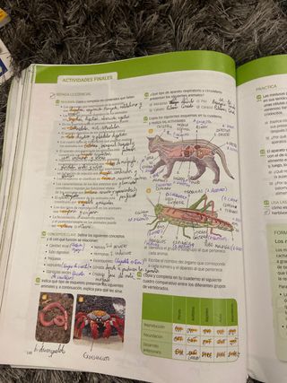 1ESO Biología y G ISBN 978-84-680-3426-3