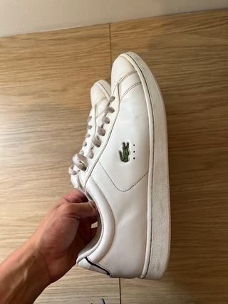 bambas lacoste