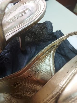 Zapatos fiesta