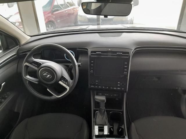 HYUNDAI Tucson 1.6 CRDi 100 kW (136 CV) 48V 4x2 DCT Style