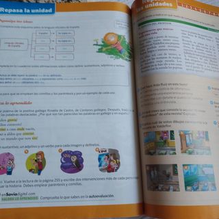 Libro Lengua SM sexto