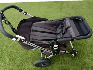 BUGABOO CAMALEON