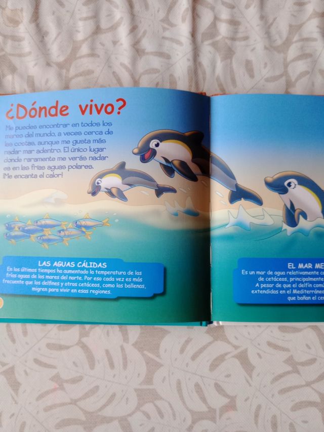 Lote libros infantiles