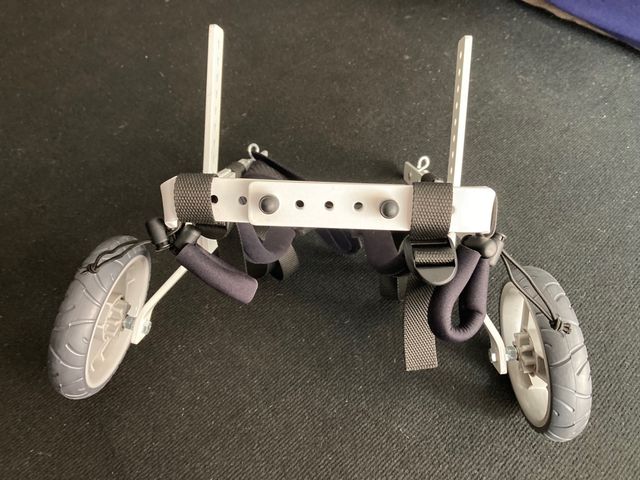 Silla de ruedas para Perro