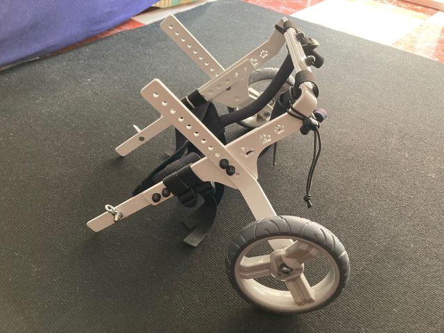 Silla de ruedas para Perro