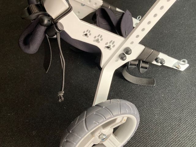 Silla de ruedas para Perro