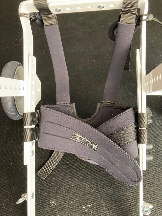 Silla de ruedas para Perro