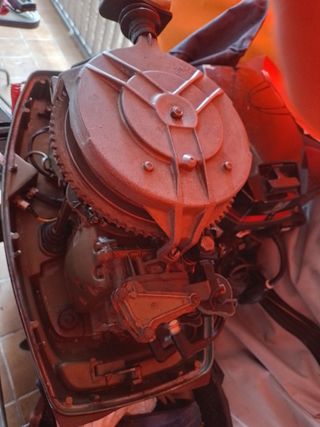 motor fueraborda 20cv