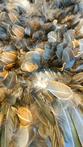 Disfraz época plumas