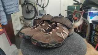 Zapatillas Shimano SPD