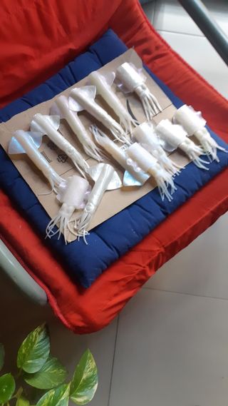 Vinilos de pesca