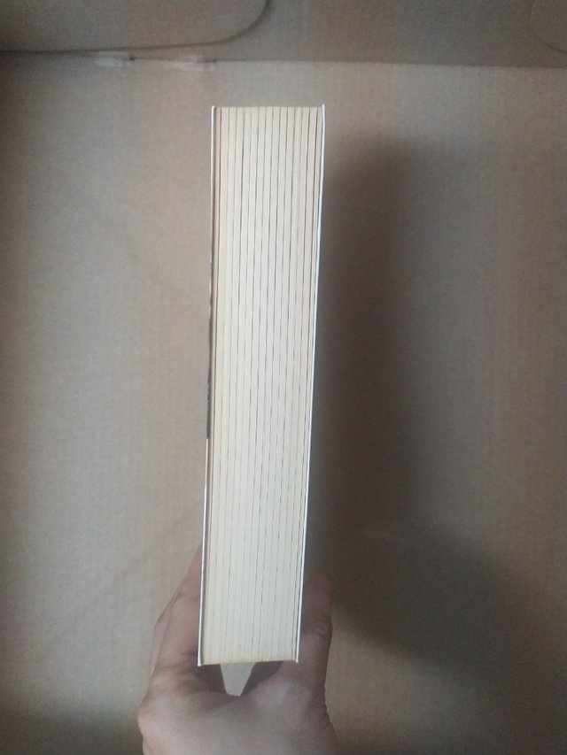 Posdata: te quiero libro