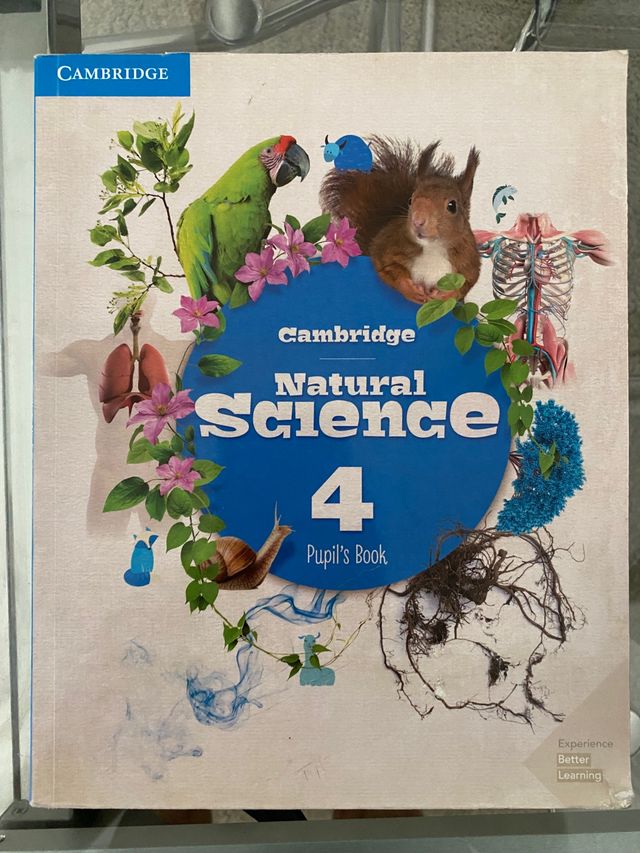 Natural Science 4 primaria