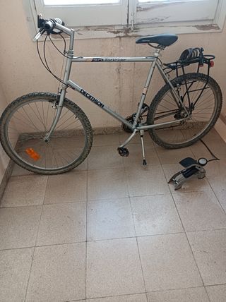 BICICLETA adulto