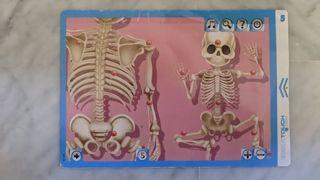 Tablet Educa touch El cuerpo humano