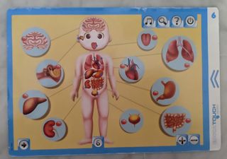 Tablet Educa touch El cuerpo humano