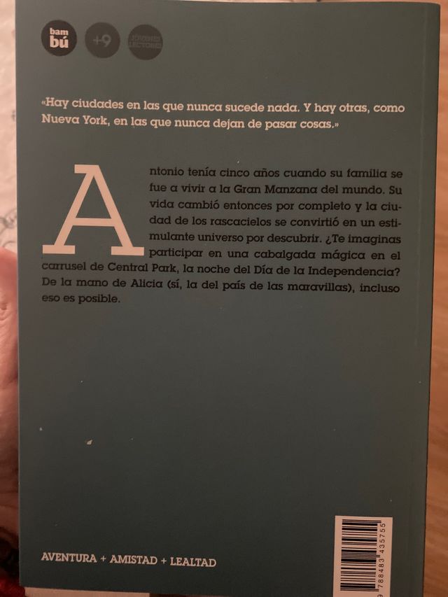 el carrusel de central park