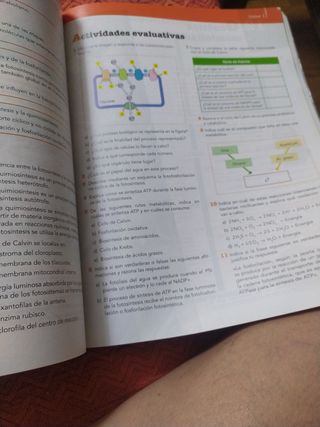 Biología.2 Bachillerato
