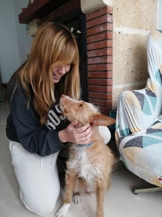 Cuidador Canino - Cuidadora de Perros