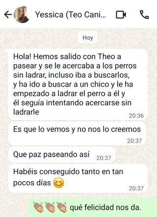 Cuidador Canino - Cuidadora de Perros