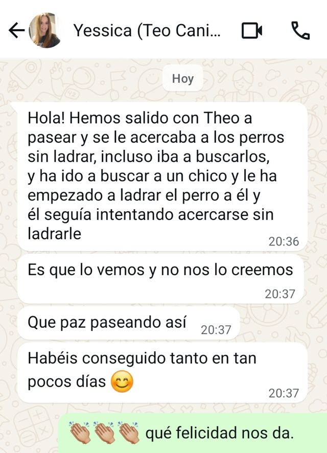 Cuidador Canino - Cuidadora de Perros