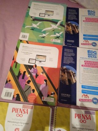 Libros 1°/2°/3°/4°primaria