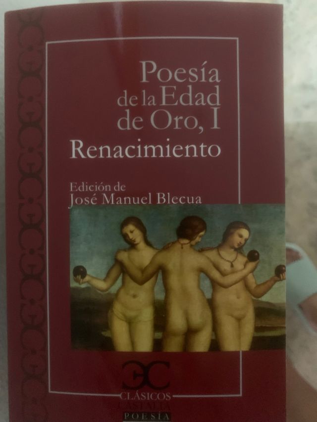 libro Renacimiento