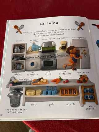 Plastimatges Llibre paraules en imatge