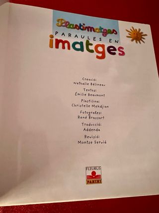 Plastimatges Llibre paraules en imatge