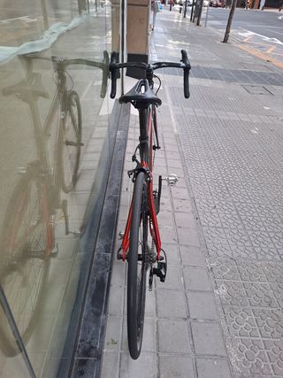 Bicicleta de carretera Goka Carbono