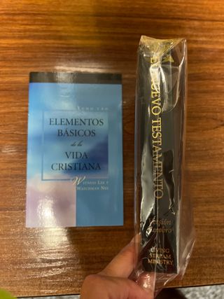 El Nuevo Testamento versión Recobró