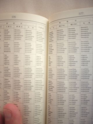 DICCIONARIO ESPAÑOL‐ JAPONÉS