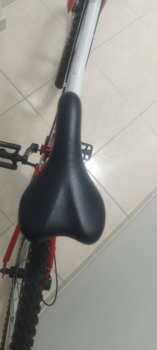 Bicicleta de montaña