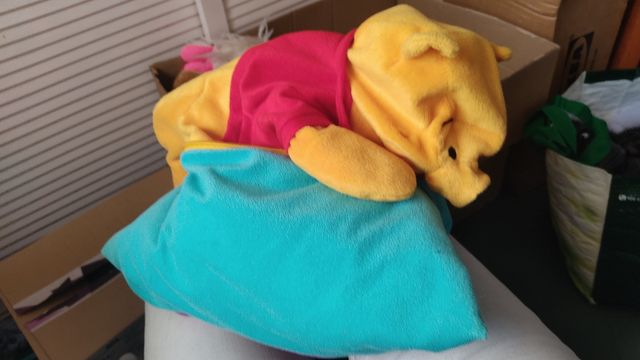 Peluche Cojín Winnie the Pooh 