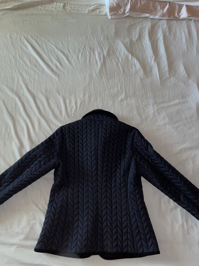 cazadora thomas burberry