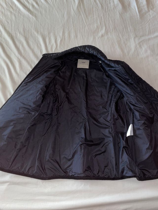 cazadora thomas burberry