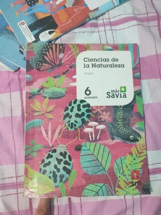 libro ciencias naturales usado 6°