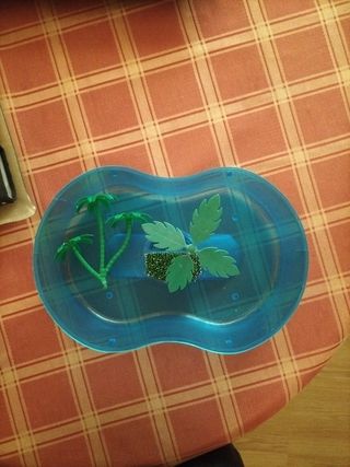 Filtro para terrario + repuesto + calcio