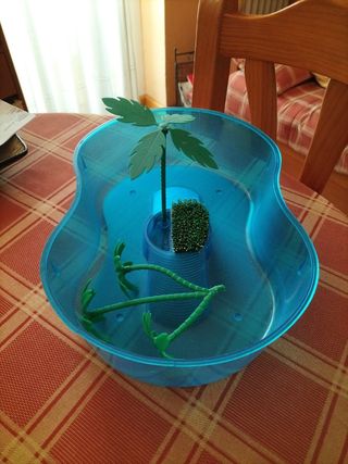 Filtro para terrario + repuesto + calcio