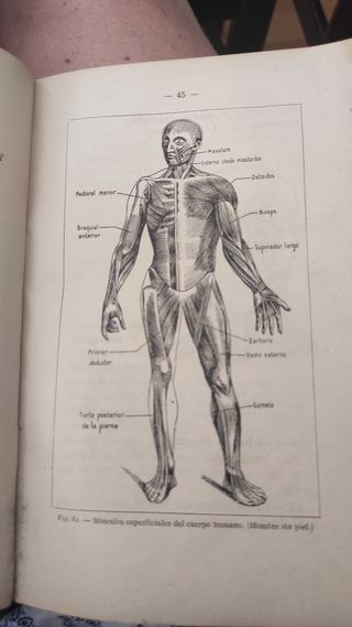 Libro "Higiene Moderna"