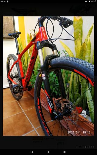 MTB ORBEA ALMA 29 H50 17 M 2018