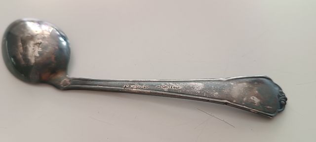 Cuchara plata papillera