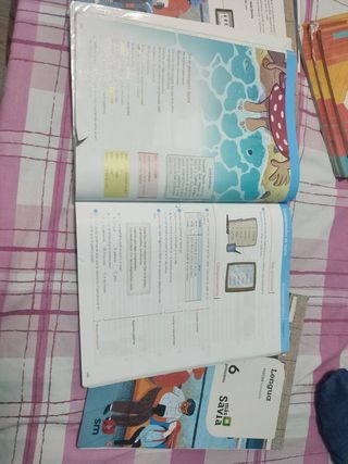 Libro Lengua 6° usado