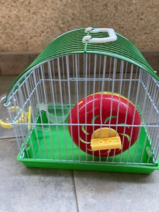 Jaula Hamster
