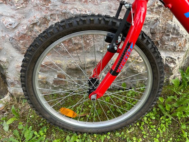 Bicicleta Avigo Neón 20 Pulgadas